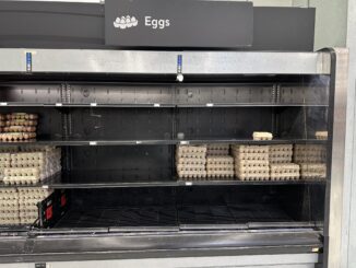 Three rows of refrigerated shelving on the wall of a grocery store, with a sign above it reading “Eggs.” Several egg cartons sit on the shelves, but the majority of the space is empty.