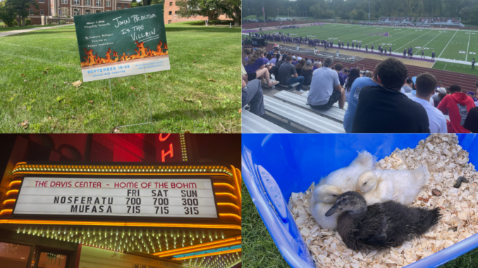 Four images share equal space in a rectangular grid. From left to right: a sign reading “John Proctor is the Villain” stands in green grass with buildings in the background, a crowd of people sitting on bleachers looking down at athletes lined up on a football field, glowing theatre marquee advertising the movies “Nosferatu” and “Mufasa” with show times and a blue tub containing two yellow ducks and a grey duck.