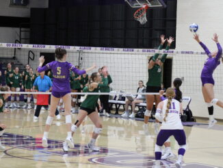 Several women wearing purple and white sports gear are captured mid-jump on a hardwood volleyball court. On the other side of the net, players wearing green move towards a volleyball in the air over the net, where one player in purple leaps, one arm drawn back.