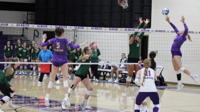 VolleyballActionShot Several women wearing purple and white sports gear are captured mid-jump on a hardwood volleyball court. On the other side of the net, players wearing green move towards a volleyball in the air over the net, where one player in purple leaps, one arm drawn back.