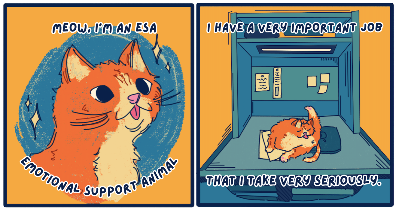 The panel on the left has an illustration of an orange cat with white spots and its tongue sticking out. The text at the top says “Meow, I’m an ESA,” and the text at the bottom says “Emotional Support Animal.” The panel on the right has an illustration of the orange cat licking itself while laying on a blue desk. The text at the top says “I have a very important job,” and the text at the bottom says “that I take very seriously.” 