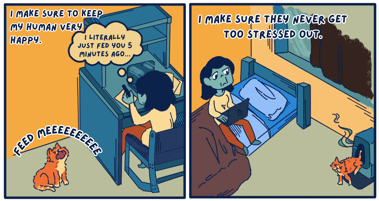 The text at the top left says “I make sure to keep my human very happy.” The panel on the left has an illustration of the orange cat sitting on the floor screaming “Feed Me,” while a student is sitting at their desk doing homework with a thought bubble saying “I literally just fed you 5 minutes ago…” 
