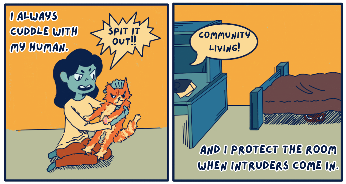 The text at the top left says “I always cuddle with my human.” The panel on the left has an illustration of the student trying to grab the orange cat, saying “Spit it out!!” The orange cat is fighting back, trying to escape the students arms. The text at the bottom right says “And I protect the room when intruders come in.” The panel on the right has an illustration of a desk and bed provided in a dorm with a speech bubble saying “Community living!” while the cat hides under the bed and only its eyes are visible. 