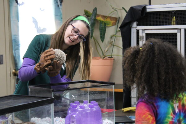 A woman wearing gloves smiles while holding a hedgehog above a transparent enclosure, interacting with a child in a colorful shirt. Decorations of bats cover the back window.