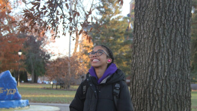 A smiling person wearing glasses and a black coat stands beside a tree, looking up at leaves. The background features autumn colors and a blue-painted rock.