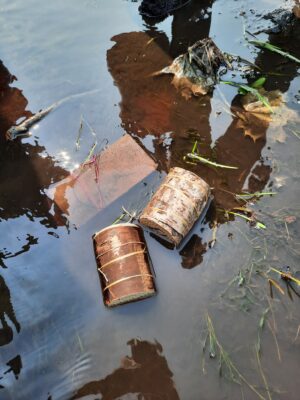 Custom devices wrapped in bark used to collect different invertebrate float in shallow water.