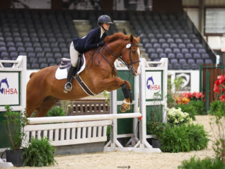 A rider wearing khaki pants and a navy blazer with a helmet rides a chestnut-colored horse. The horse is mid-jump over a white fence with two posts labeled “IHSA” with an image of a horse on each sign. Surrounding the fence are several potted flowers and plants, and in the background is a stadium full of seats that are empty.
