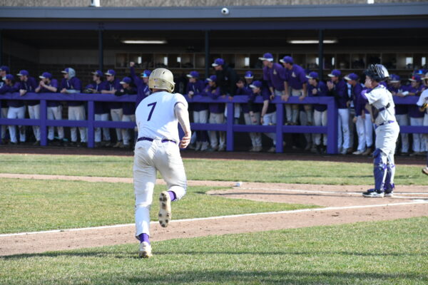 A baseball player with jersey number 7 runs towards home plate. Teammates in purple uniforms cheer from the dugout.