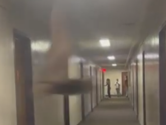 A blurry, low-quality still from a vertical video shows the shape of a bat flying in front of the camera, looking down a long hallway. At the opposite end of the hallway, three out-of-focus people stand, one holding a device in front of them to film.