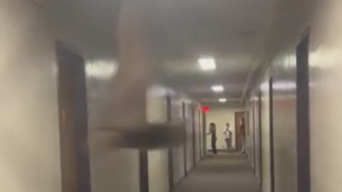 A blurry, low-quality still from a vertical video shows the shape of a bat flying in front of the camera, looking down a long hallway. At the opposite end of the hallway, three out-of-focus people stand, one holding a device in front of them to film.