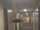 A blurry, low-quality still from a vertical video shows the shape of a bat flying in front of the camera, looking down a long hallway. At the opposite end of the hallway, three out-of-focus people stand, one holding a device in front of them to film.